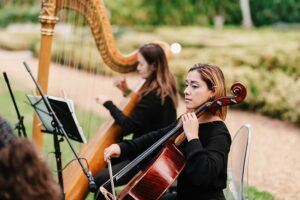 Cello & Harp
